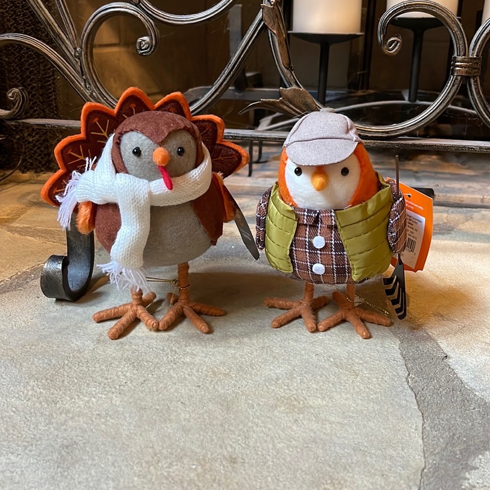 NWT Fall Decorative Birds Decor Turkey and Leaf Raking 2 Piece Set